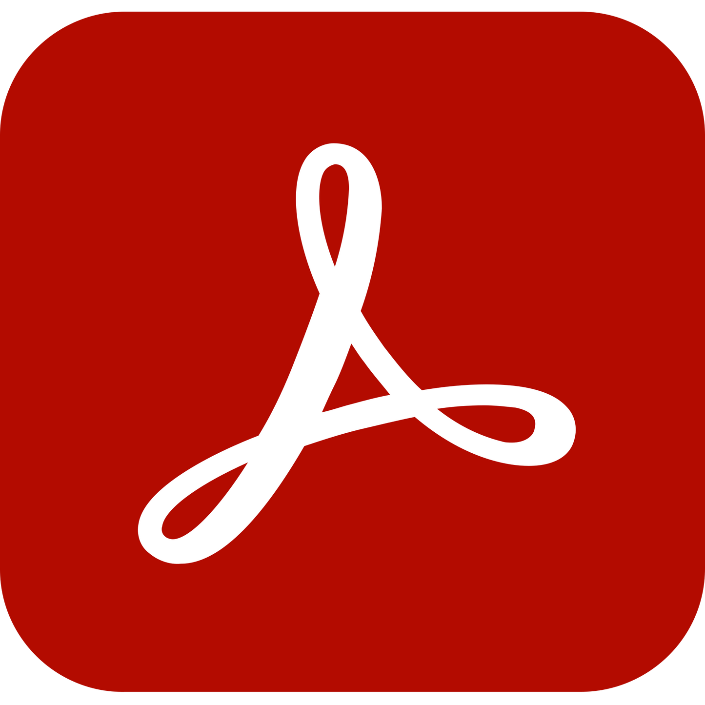Acrobat Standard for teams
